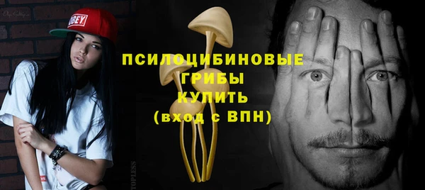 гидра Балахна