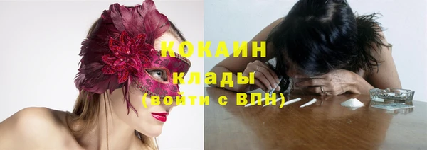 гидра Балахна