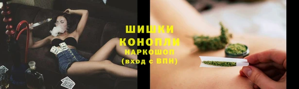 гидра Балахна