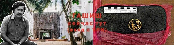 гидра Балахна