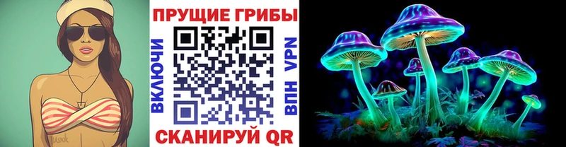 гидра ТОР  как найти закладки  Семилуки  Псилоцибиновые грибы MAGIC MUSHROOMS 